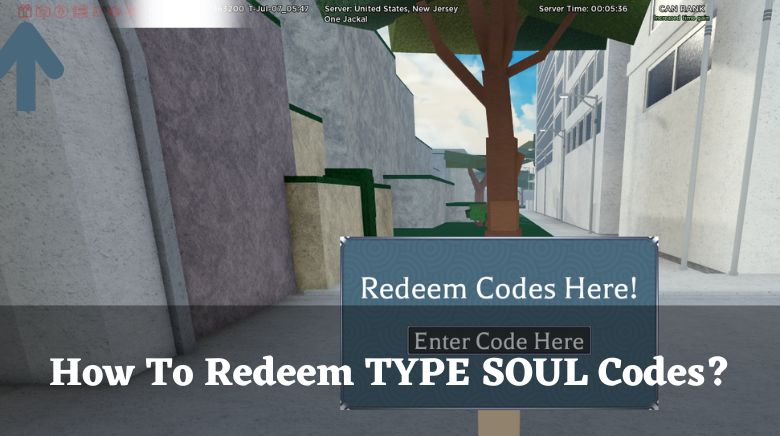 Working of Type Soul Codes